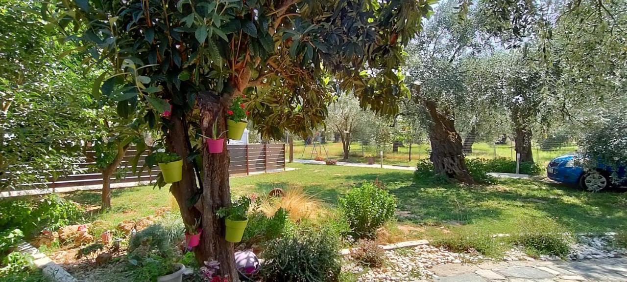 Chrisella Villa Skala Rachoni  Buitenkant foto